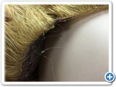 peluca rizada natural ADELAIDE27 tul40c.10