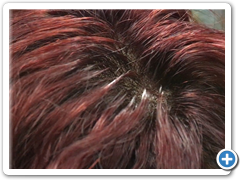 peluca rizada natural ADELAIDETINTE5.66.9