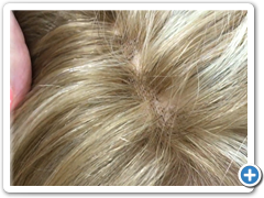 peluca natural ANABELEN 14h613 TUL35.40-8