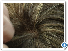 peluca natural Pilarica 5.27-7