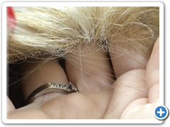 Peluca lace front CRISTINA color 27t613-7