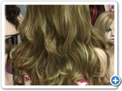 Peluca_Lisana_color_14H613_detras